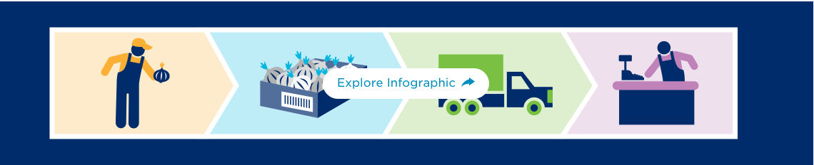 Explore infographic