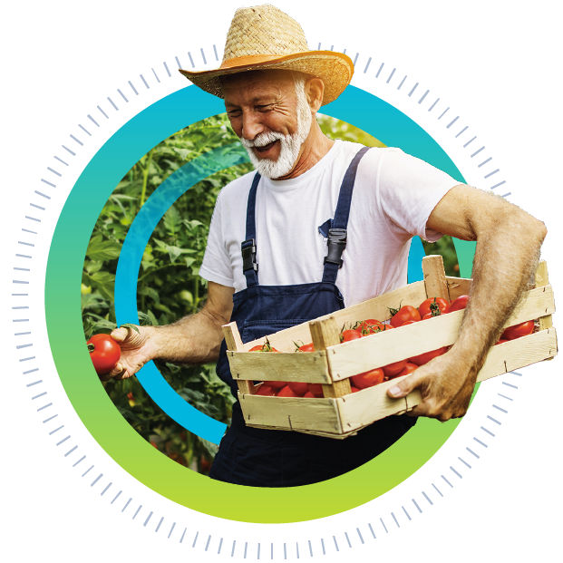 Farmer with tomatoes