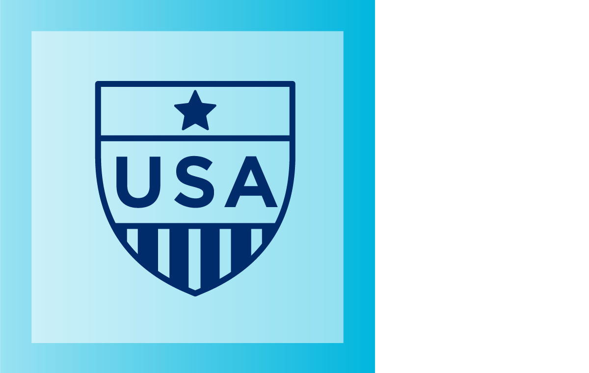 USA shield icon