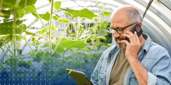 Farmer on phone while looking at a tablet