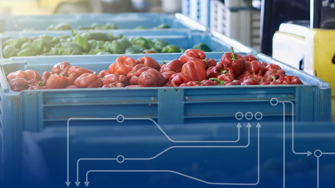 GS1 US Foodservice Recommended GDSN Trade Item Attribution