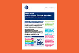 Data Quality Solutions Flyer